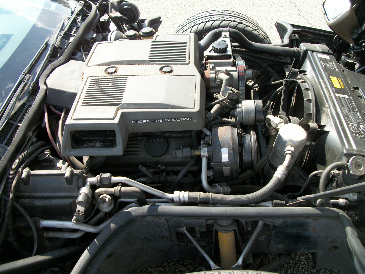 Chevrolet-Corvette-1984-bronze-metallic-bronze-19