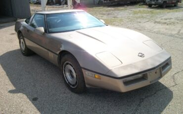 Chevrolet-Corvette-1984-bronze-metallic-bronze-2