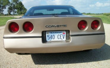Chevrolet-Corvette-1984-bronze-metallic-bronze-23