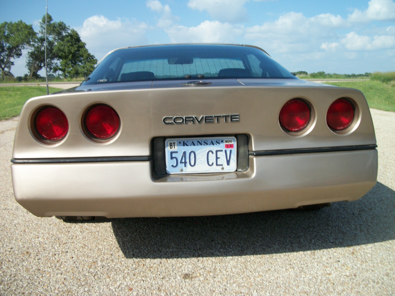 Chevrolet-Corvette-1984-bronze-metallic-bronze-23