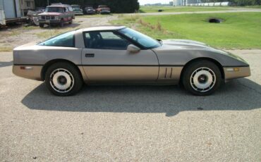 Chevrolet-Corvette-1984-bronze-metallic-bronze-3