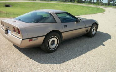 Chevrolet-Corvette-1984-bronze-metallic-bronze-4