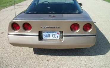 Chevrolet-Corvette-1984-bronze-metallic-bronze-5