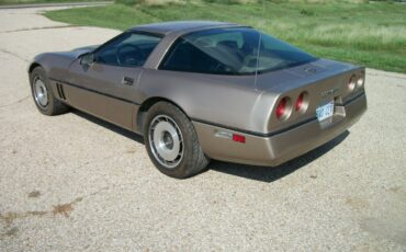 Chevrolet-Corvette-1984-bronze-metallic-bronze-6