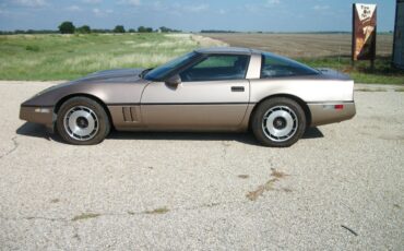 Chevrolet-Corvette-1984-bronze-metallic-bronze-7