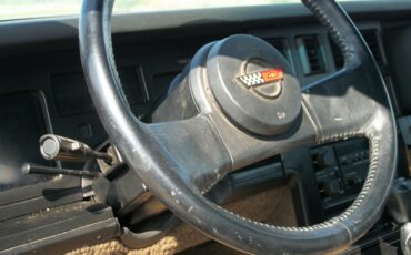 Chevrolet-Corvette-1984-bronze-metallic-bronze-9