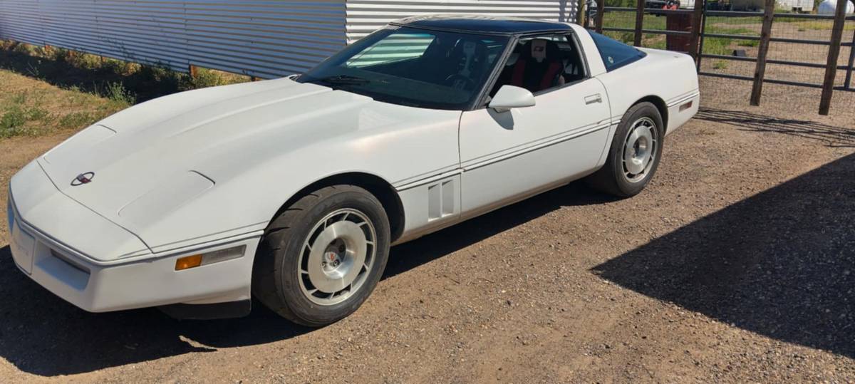 Chevrolet-Corvette-1984-white-10