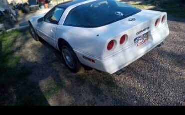 Chevrolet-Corvette-1984-white-8