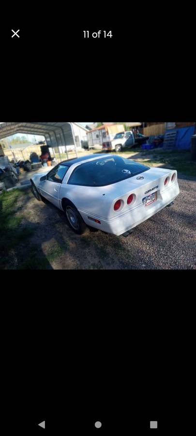 Chevrolet-Corvette-1984-white-8