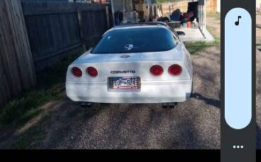 Chevrolet-Corvette-1984-white-9