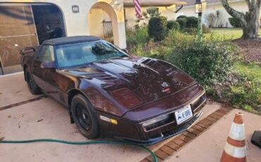 Chevrolet-Corvette-1986-Brown-1