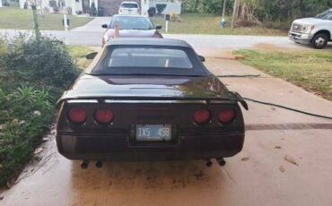 Chevrolet-Corvette-1986-Brown-8