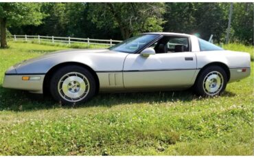 Chevrolet-Corvette-1986-Silver-Beige-Metalli-Bronze-11