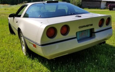 Chevrolet-Corvette-1986-Silver-Beige-Metalli-Bronze-12