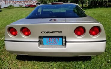 Chevrolet-Corvette-1986-Silver-Beige-Metalli-Bronze-13
