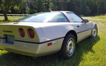 Chevrolet-Corvette-1986-Silver-Beige-Metalli-Bronze-14