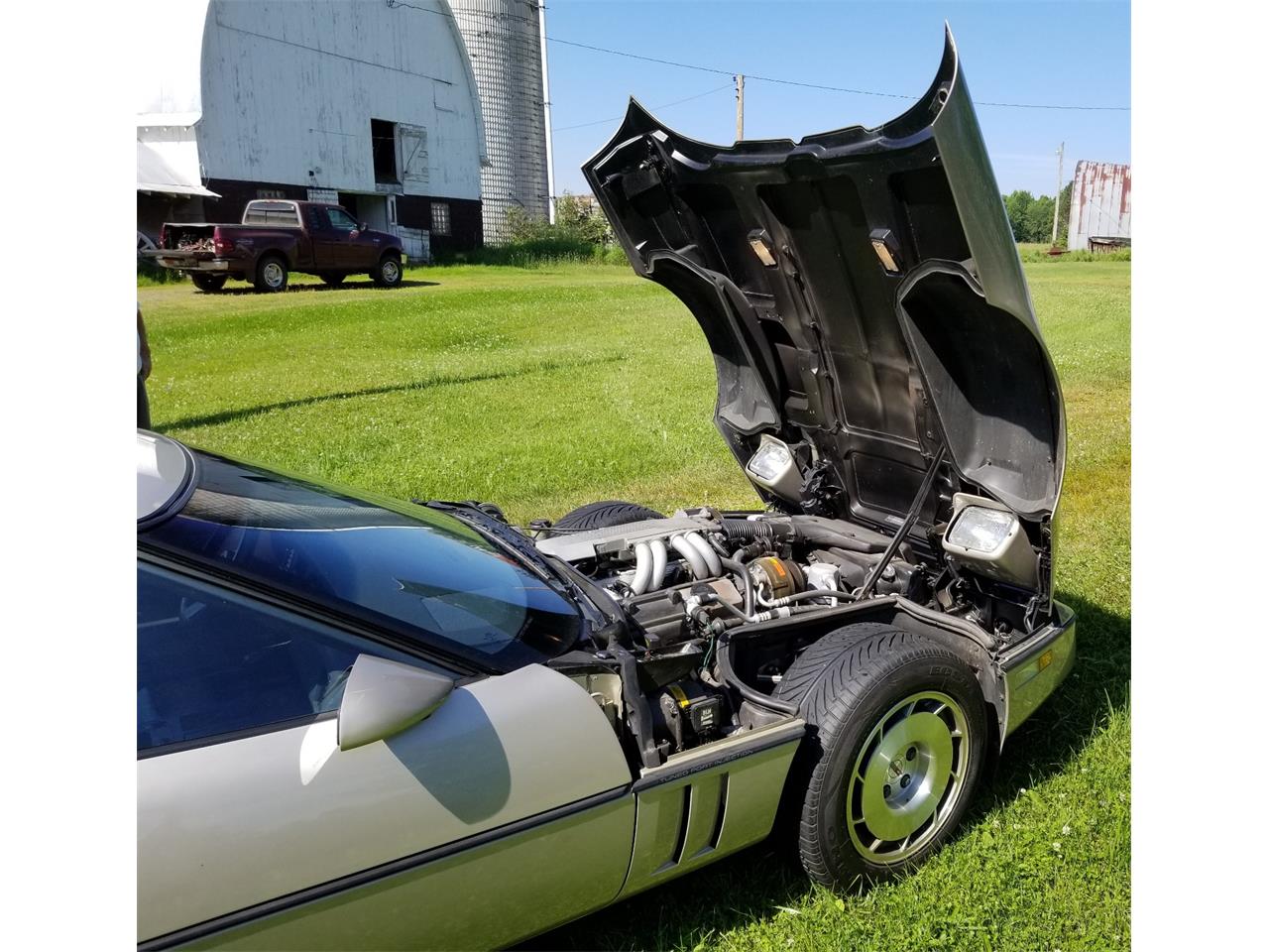 Chevrolet-Corvette-1986-Silver-Beige-Metalli-Bronze-3
