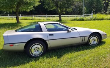 Chevrolet-Corvette-1986-Silver-Beige-Metalli-Bronze-6