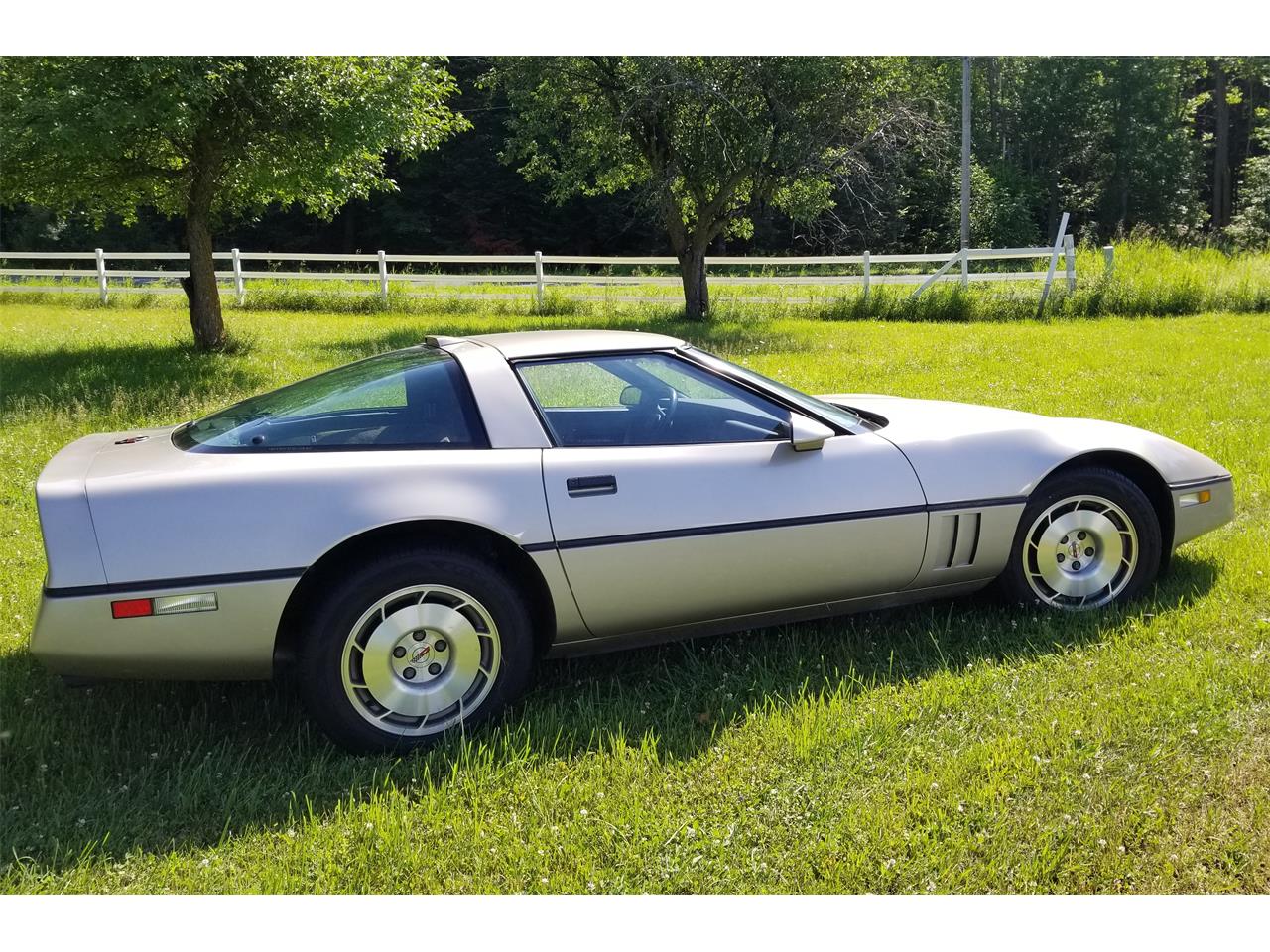 Chevrolet-Corvette-1986-Silver-Beige-Metalli-Bronze-6