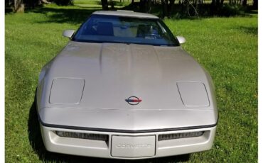 Chevrolet-Corvette-1986-Silver-Beige-Metalli-Bronze-7