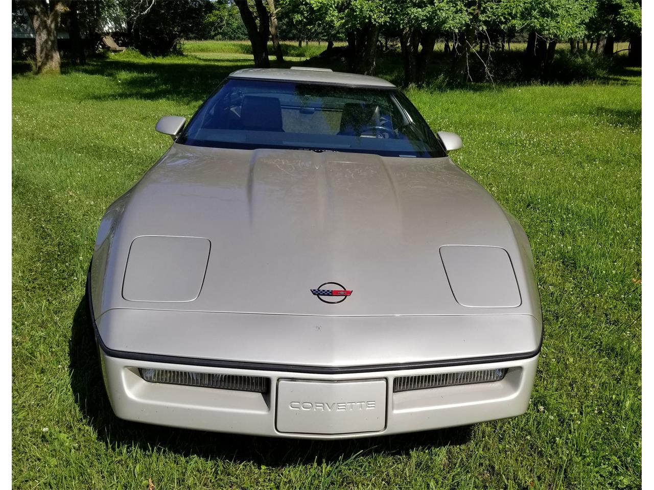 Chevrolet-Corvette-1986-Silver-Beige-Metalli-Bronze-7