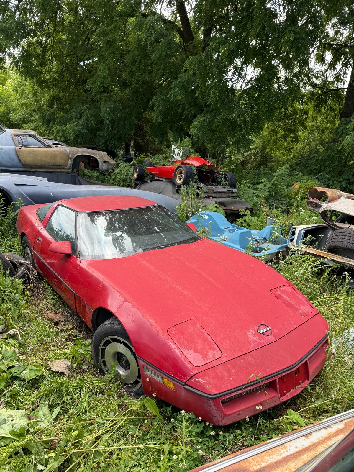 Chevrolet-Corvette-1987-Coupe-1