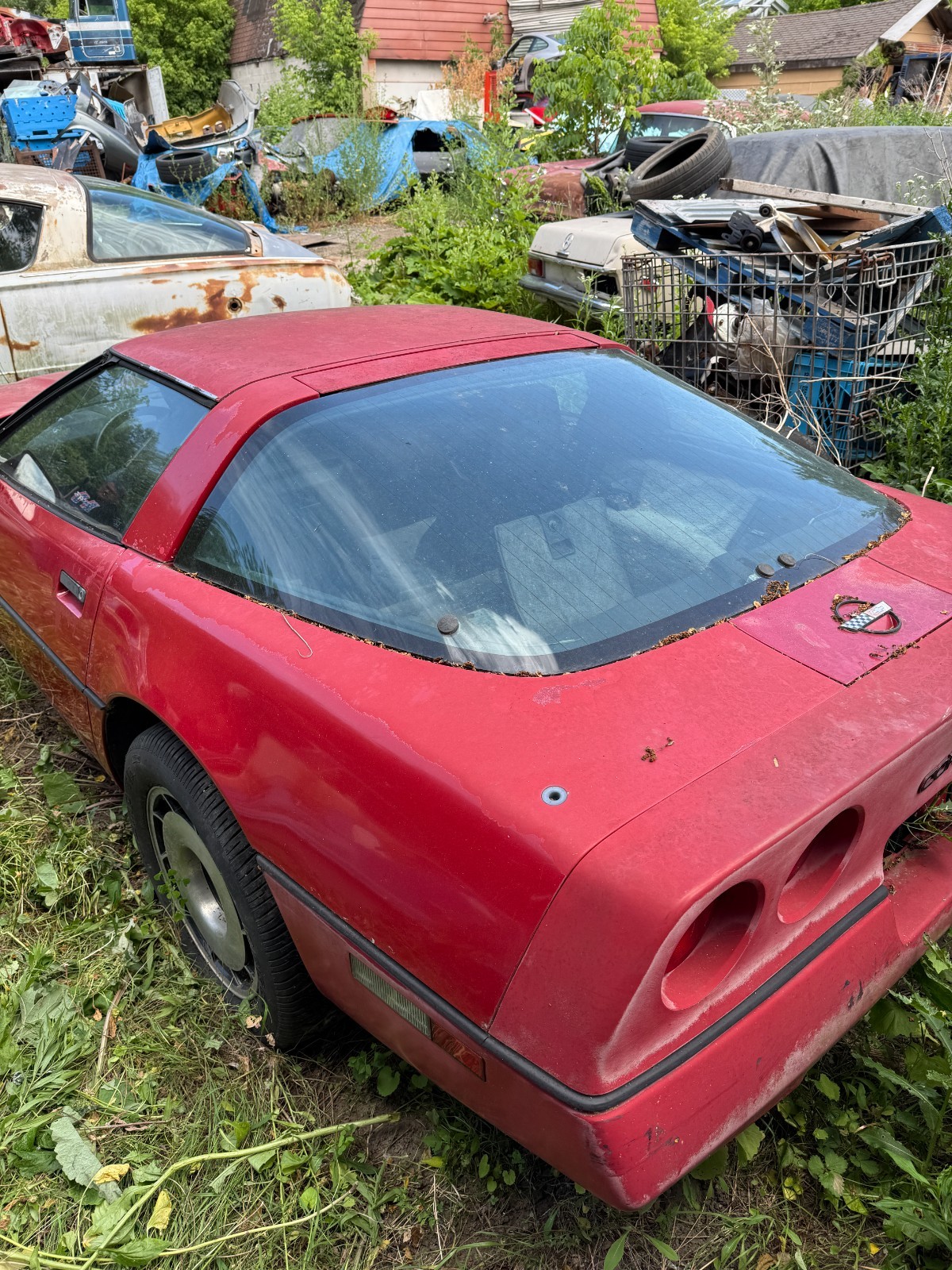 Chevrolet-Corvette-1987-Coupe-2