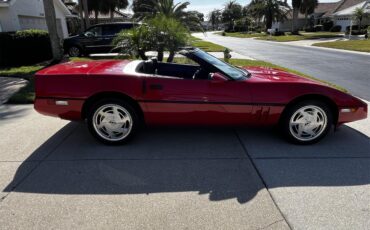 Chevrolet-Corvette-1988-Bright-Red-Black-10