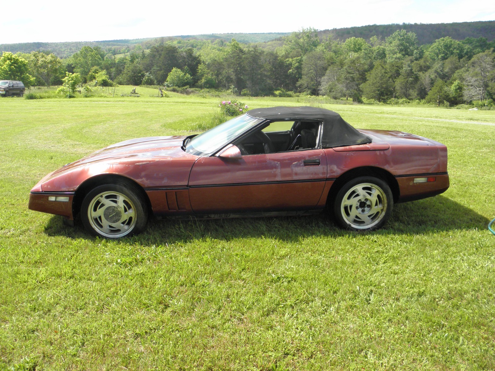 Chevrolet-Corvette-1988-Convertible-3