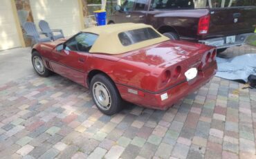 Chevrolet-Corvette-1988-RedTan-Top-Tan-2