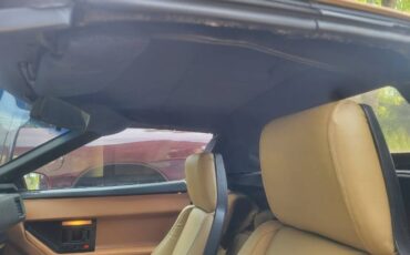 Chevrolet-Corvette-1988-RedTan-Top-Tan-8