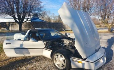 Chevrolet-Corvette-1988-White-1