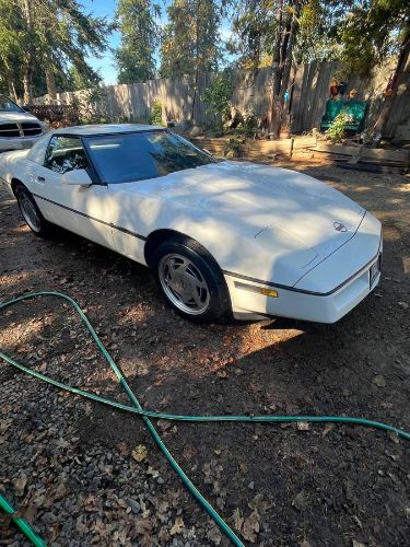 Chevrolet-Corvette-1988-White-14