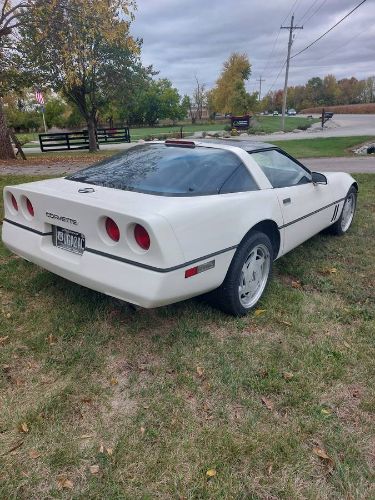 Chevrolet-Corvette-1988-White-16