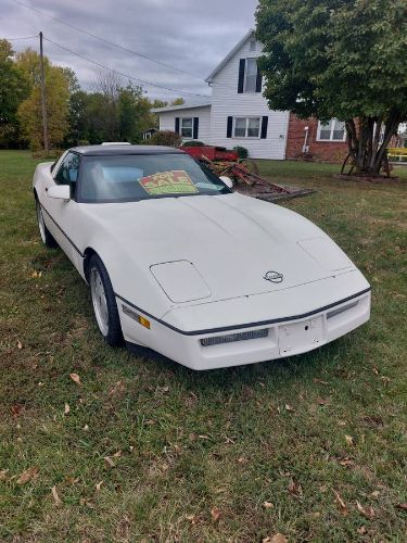 Chevrolet-Corvette-1988-White-17
