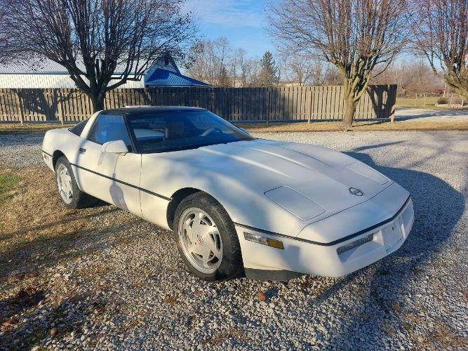 Chevrolet-Corvette-1988-White-3