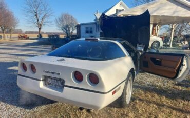 Chevrolet-Corvette-1988-White-5