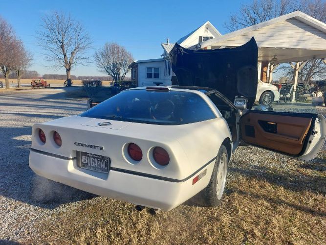 Chevrolet-Corvette-1988-White-5