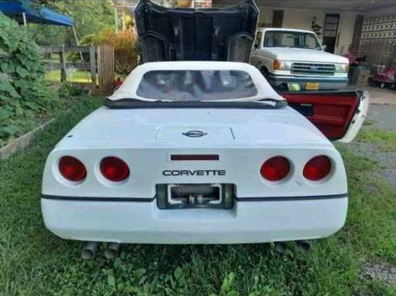 Chevrolet-Corvette-1989-White-8