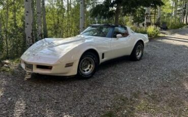 Chevrolet-Corvette-1990-White-Red-14
