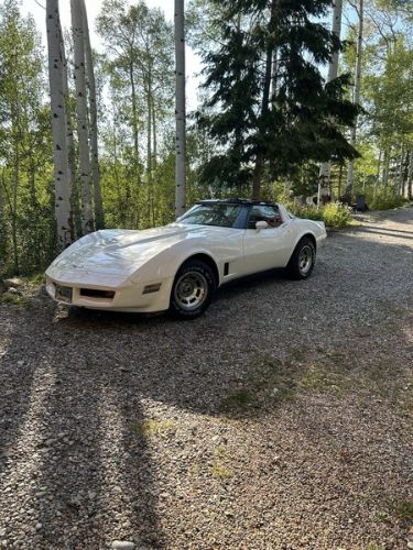 Chevrolet-Corvette-1990-White-Red-14