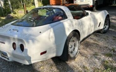 Chevrolet-Corvette-1990-White-Red-9