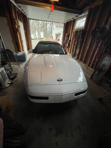 Chevrolet-Corvette-1991-White-4