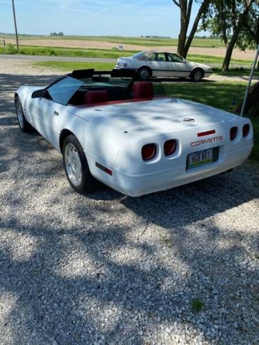 Chevrolet-Corvette-1991-White-Red-Cloth-12