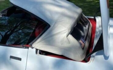 Chevrolet-Corvette-1991-White-Red-Cloth-18