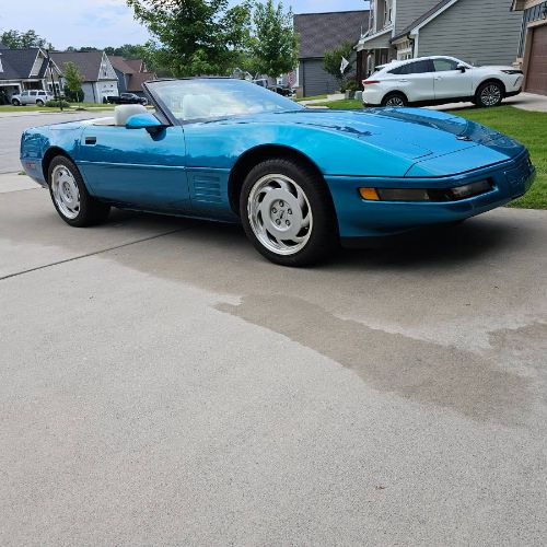 Chevrolet-Corvette-1992-BlueWhite-top-White-15