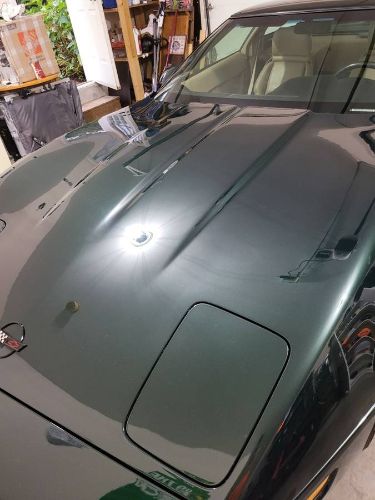Chevrolet-Corvette-1992-Polo-Green-5