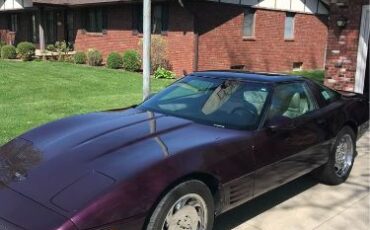Chevrolet-Corvette-1993-Black-Rose-Metallic-Gray