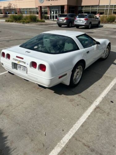 Chevrolet-Corvette-1993-White-Gray-10