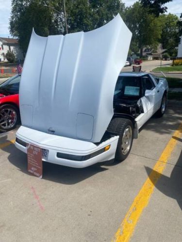 Chevrolet-Corvette-1993-White-Gray-8